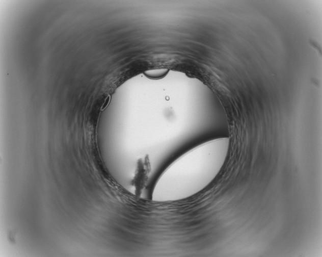 X0000094220283200710261000