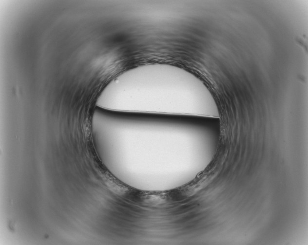 X0000094220285200710261000