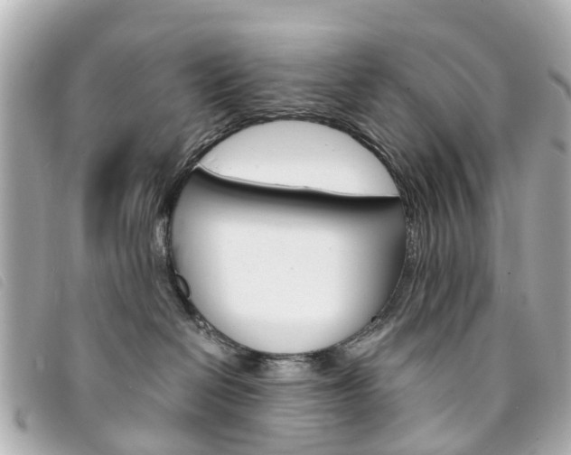 X0000094220286200710261000