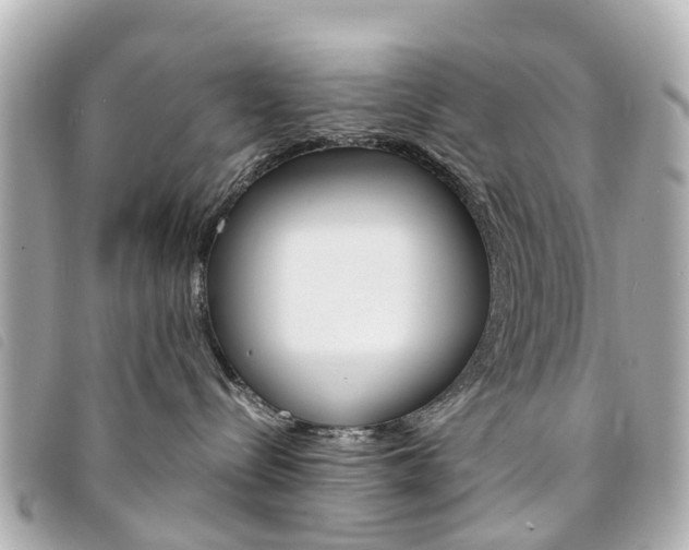 X0000094220288200710261000