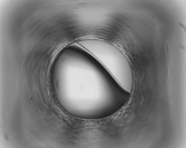 X0000094220289200710260959