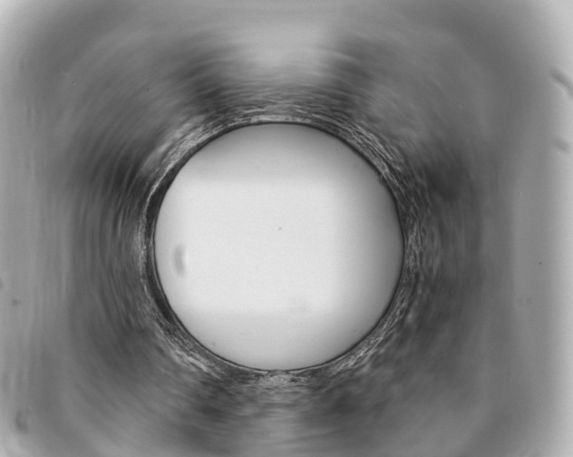 X0000094220290200710260959