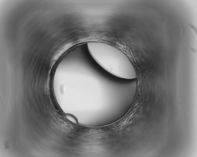 X0000094220292200710260959