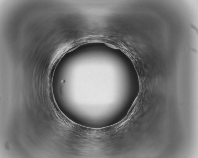 X0000094220293200710260959