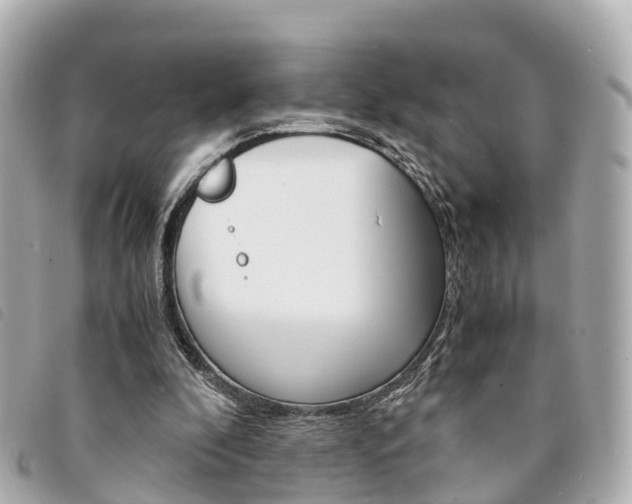 X0000094220296200710260959
