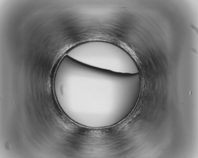 X0000094220298200710260959