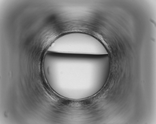 X0000094220299200710260959