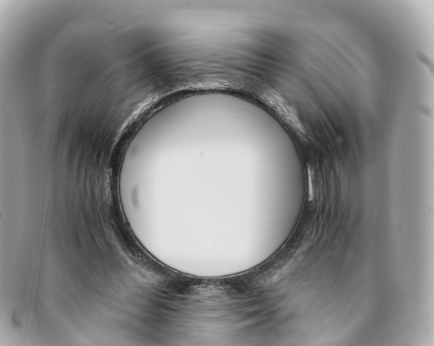 X0000094220300200710260959