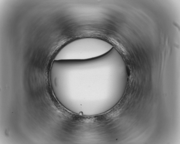 X0000094220306200710260959