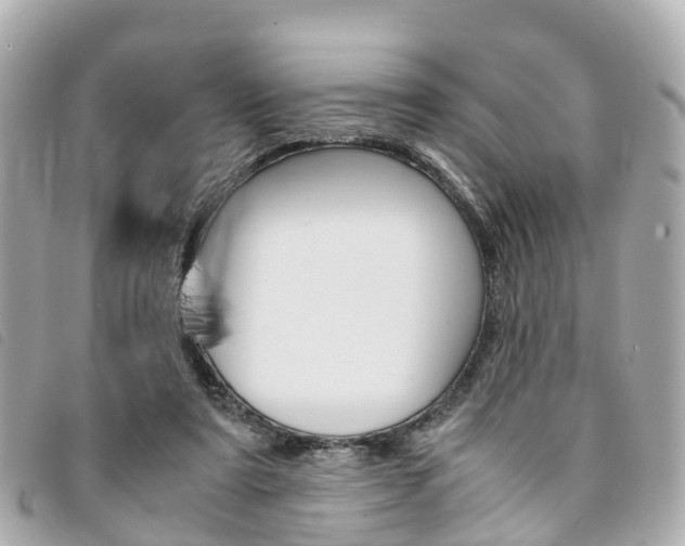 X0000094220307200710260959