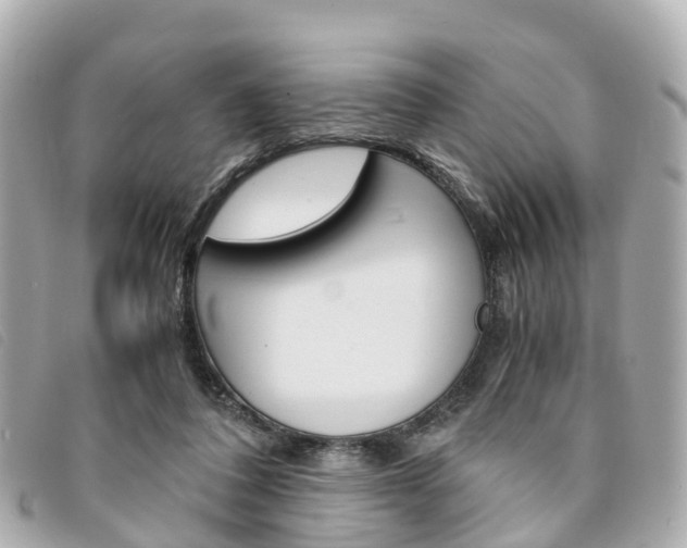 X0000094220308200710260959