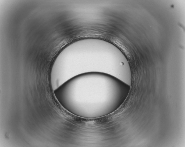 X0000094220309200710260959