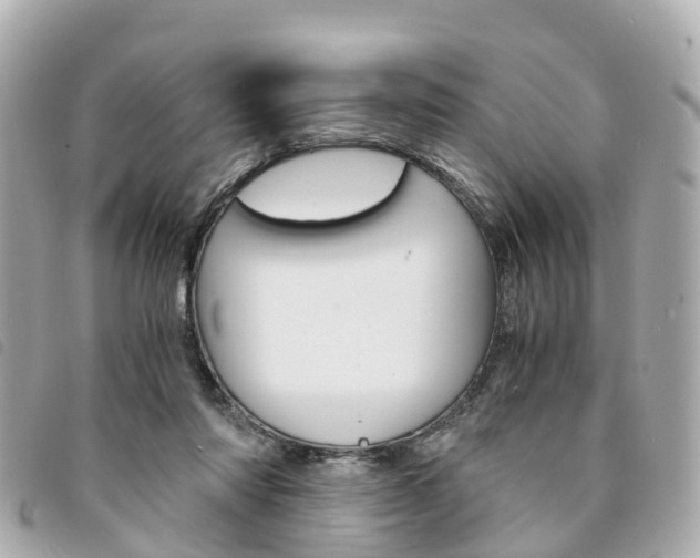 X0000094220310200710260959