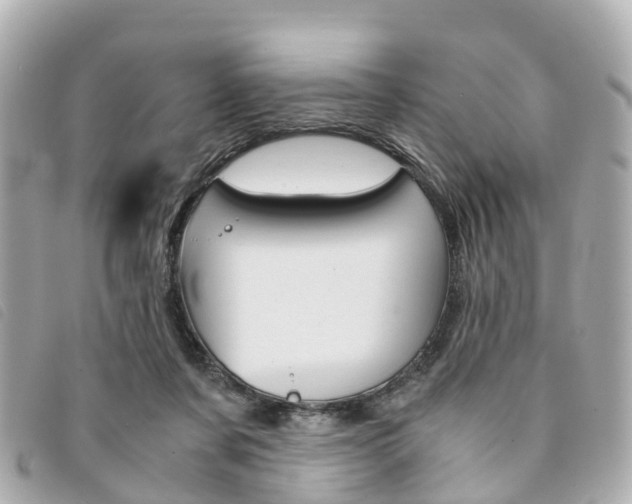 X0000094220311200710260959