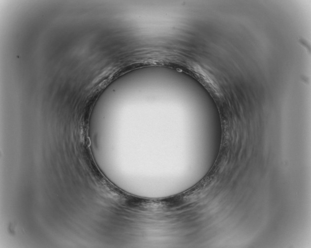 X0000094220313200710260959