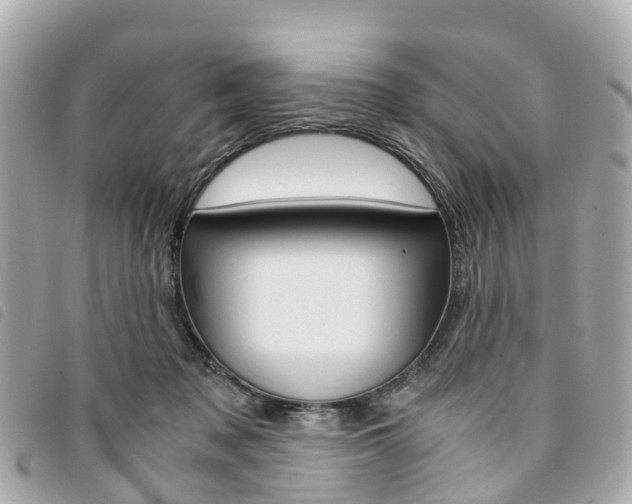 X0000094220317200710260959