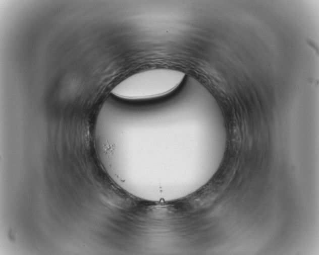 X0000094220320200710260959