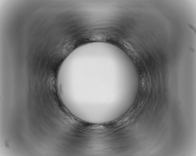 X0000094220322200710260959