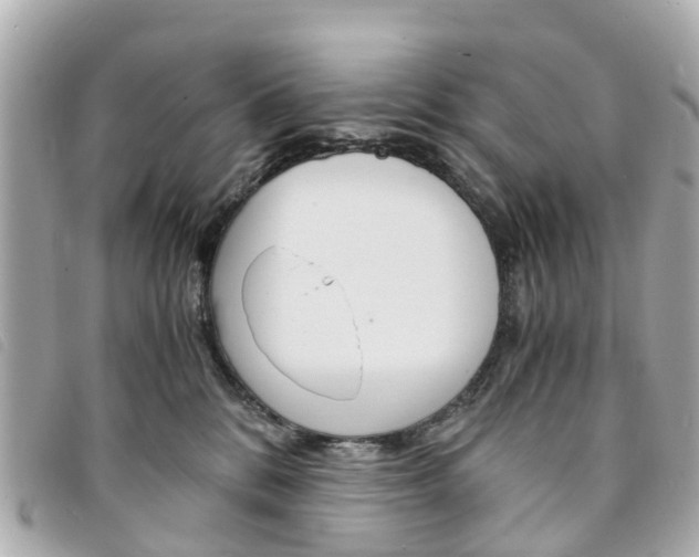 X0000094220328200710260959