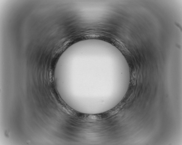X0000094220330200710260959