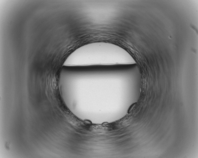 X0000094220331200710260959