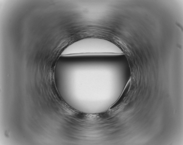 X0000094220333200710260959