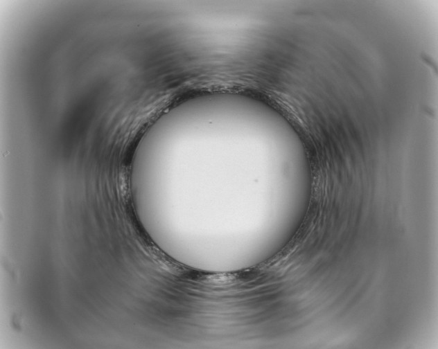 X0000094220335200710260959