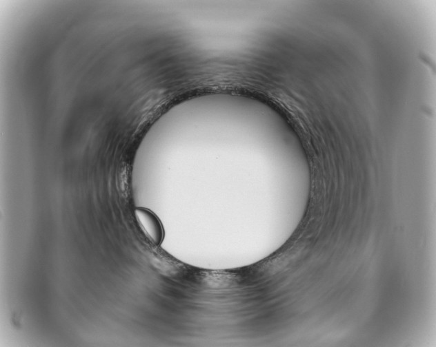 X0000094220336200710260959
