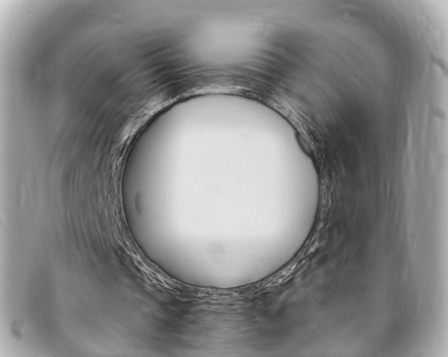 X0000094220337200710260958