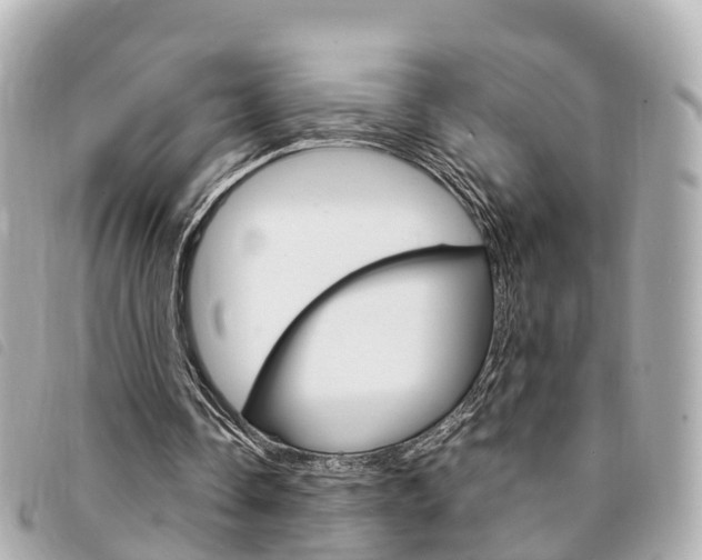 X0000094220338200710260958
