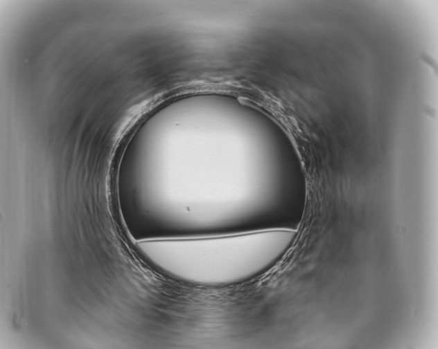 X0000094220340200710260958