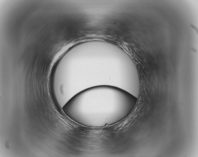 X0000094220342200710260958