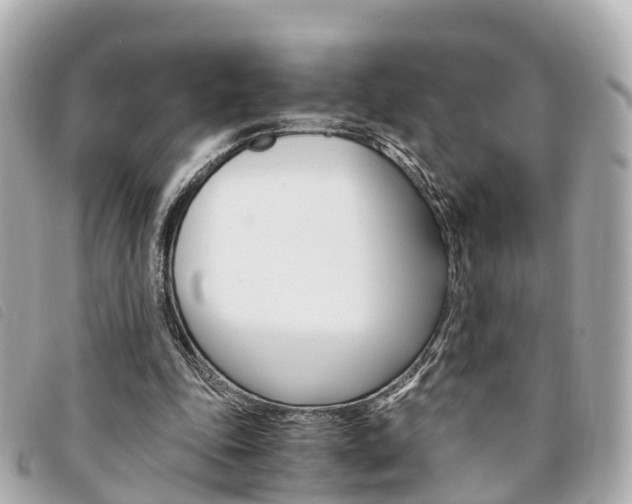 X0000094220343200710260958