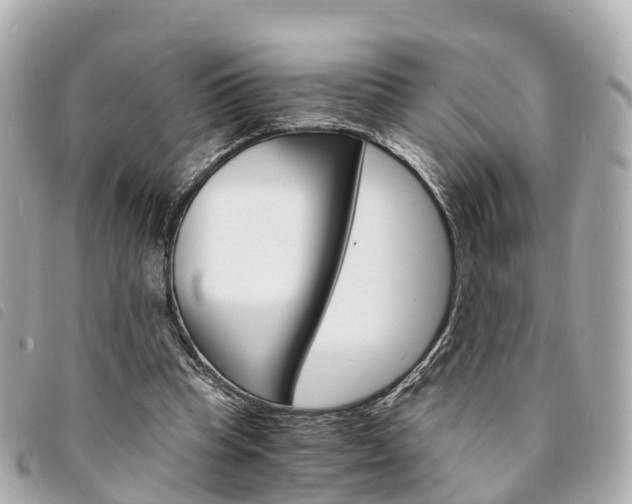 X0000094220345200710260958