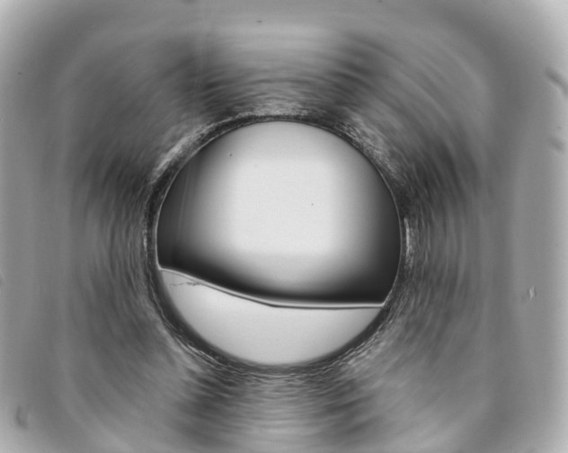 X0000094220348200710260958