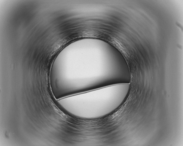 X0000094220349200710260958