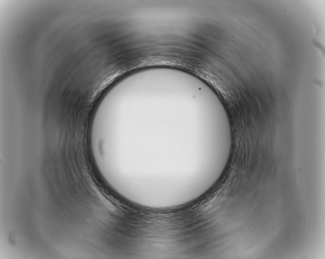 X0000094220352200710260958