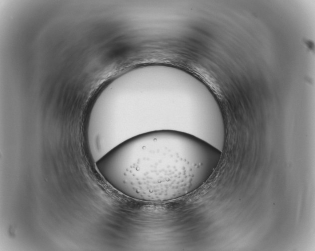 X0000094220354200710260958