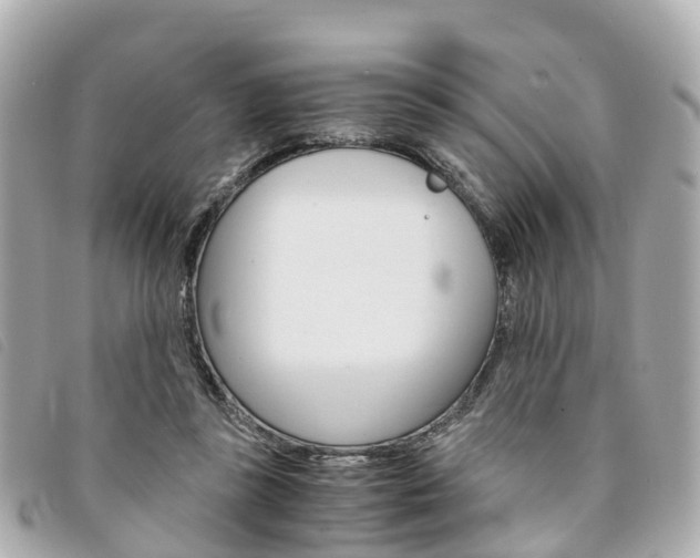 X0000094220355200710260958
