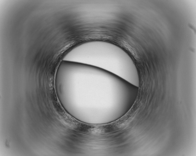 X0000094220356200710260958
