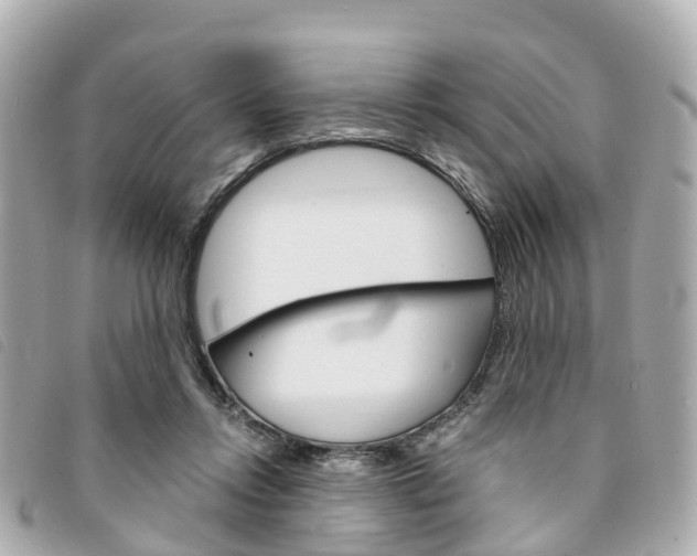 X0000094220358200710260958