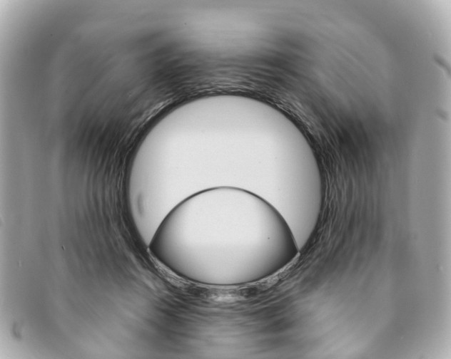 X0000094220360200710260958