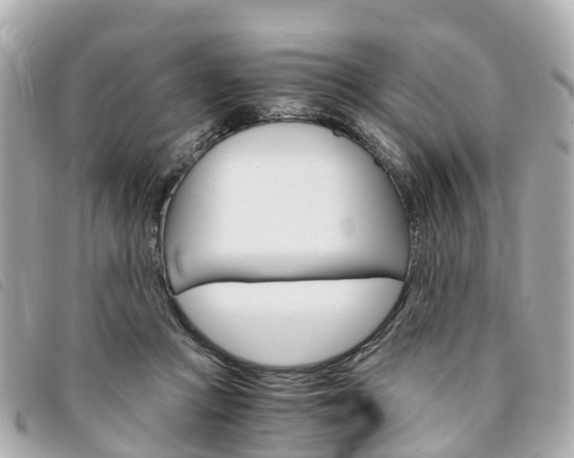 X0000094220361200710260958