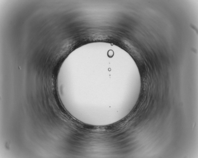 X0000094220362200710260958