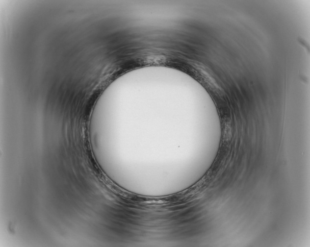 X0000094220363200710260958