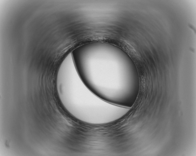 X0000094220364200710260958