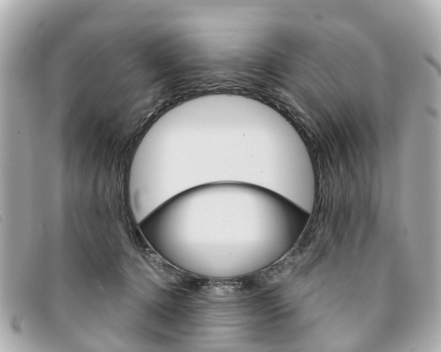 X0000094220368200710260958