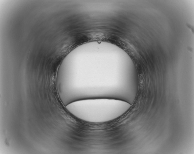X0000094220369200710260958