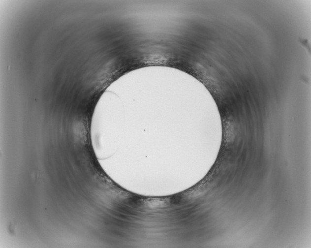 X0000094220370200710260958