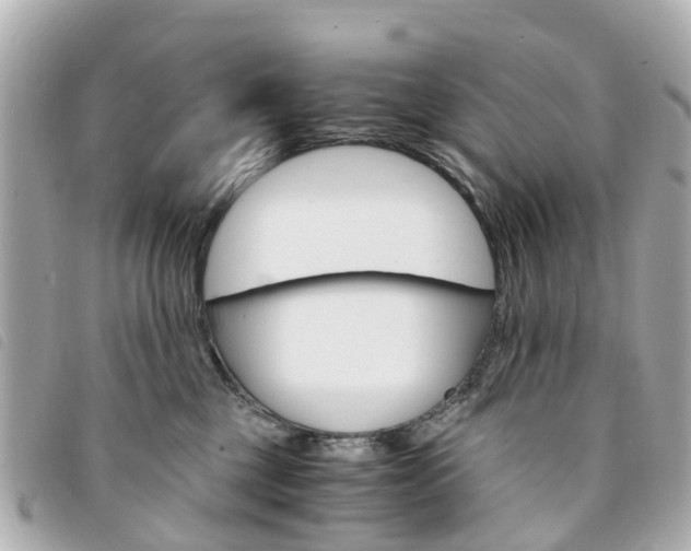 X0000094220377200710260959